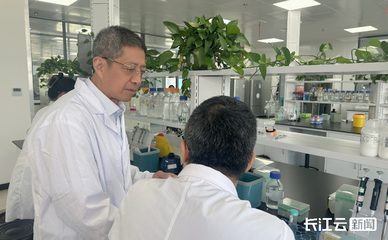 世界首創(chuàng)“稻米造血”生產(chǎn)線武漢投產(chǎn)，生物科技引領醫(yī)療新革命