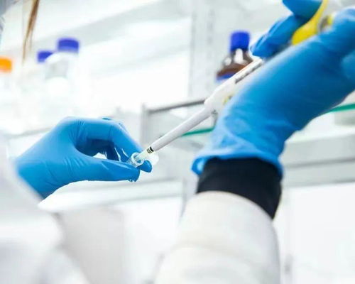 從玻尿酸巨頭到護膚品牌 華熙生物的轉型之路與科技底色之辨